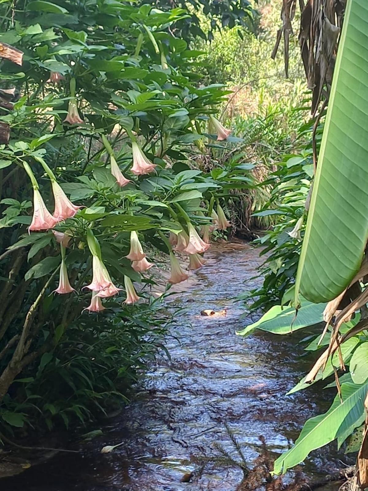 Villa Casa Ampla E Aconchegante Em Gramado Esterno foto