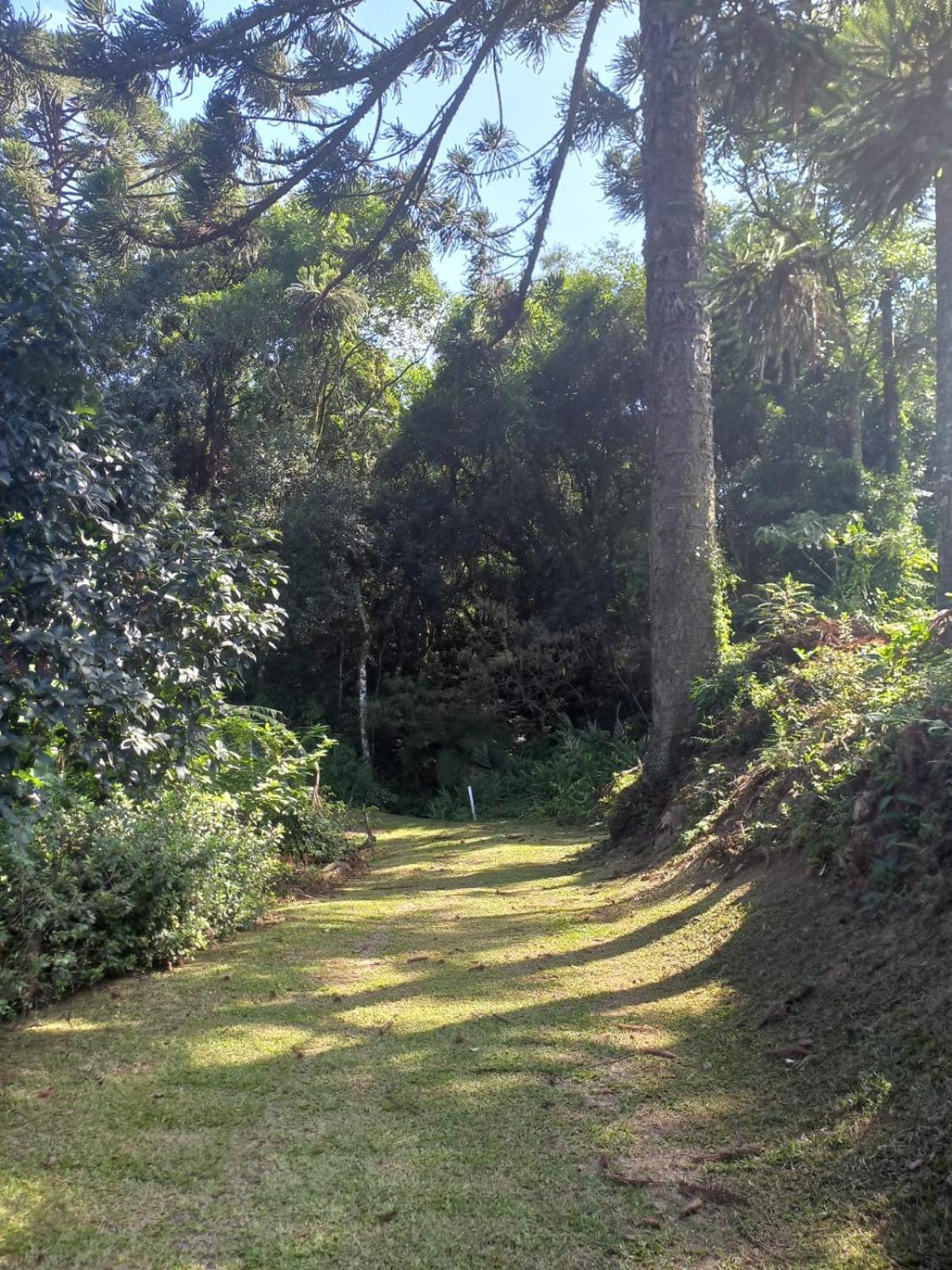 Villa Casa Ampla E Aconchegante Em Gramado Esterno foto