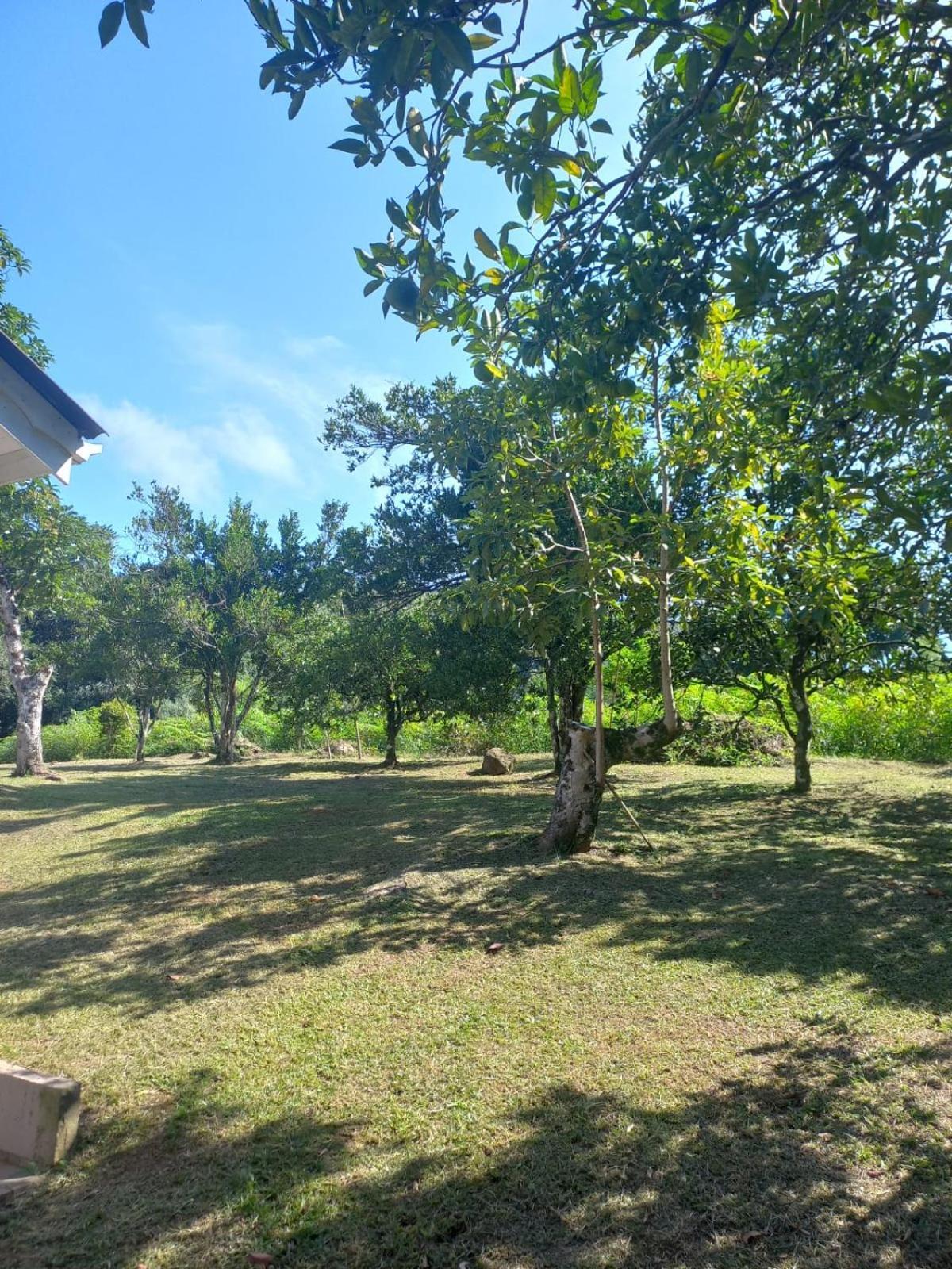 Villa Casa Ampla E Aconchegante Em Gramado Esterno foto